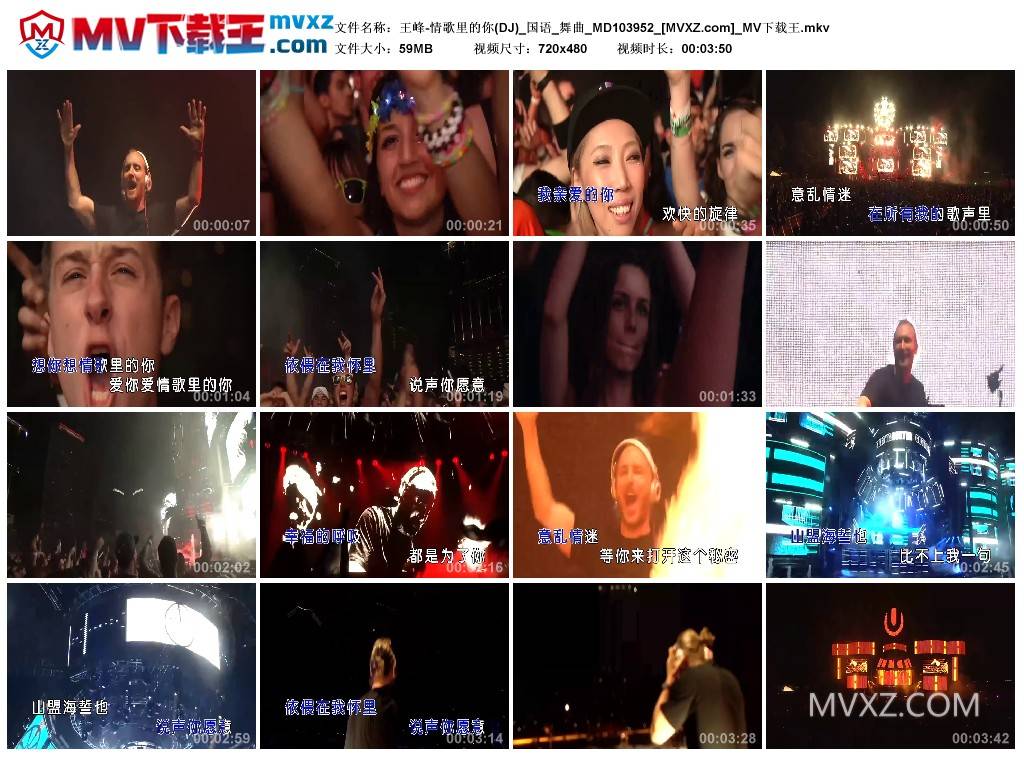 王峰-情歌里的你(DJ)_国语_舞曲_MD103952